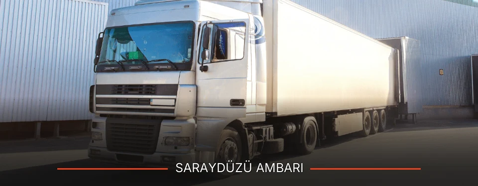 Saraydüzü Ambarı